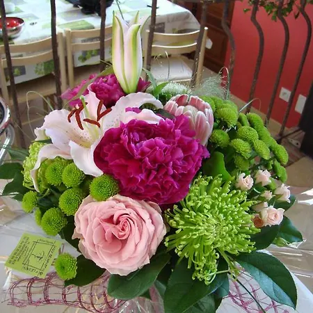 Château De La Caloterie Couette-café Montreuil (Pas-de-Calais)